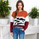  Animal Print Color Block Sweater with Long Sleeves