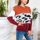  Animal Print Color Block Sweater with Long Sleeves