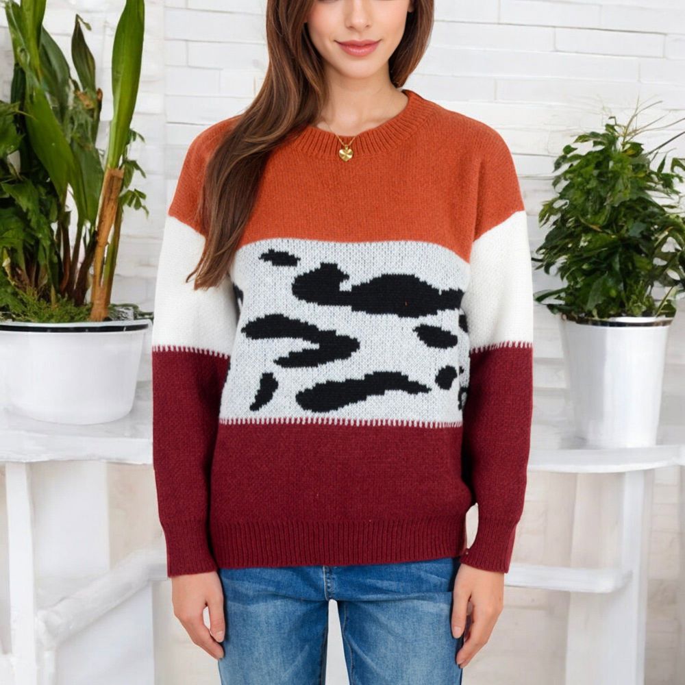 Animal Print Color Block Sweater with Long Sleeves