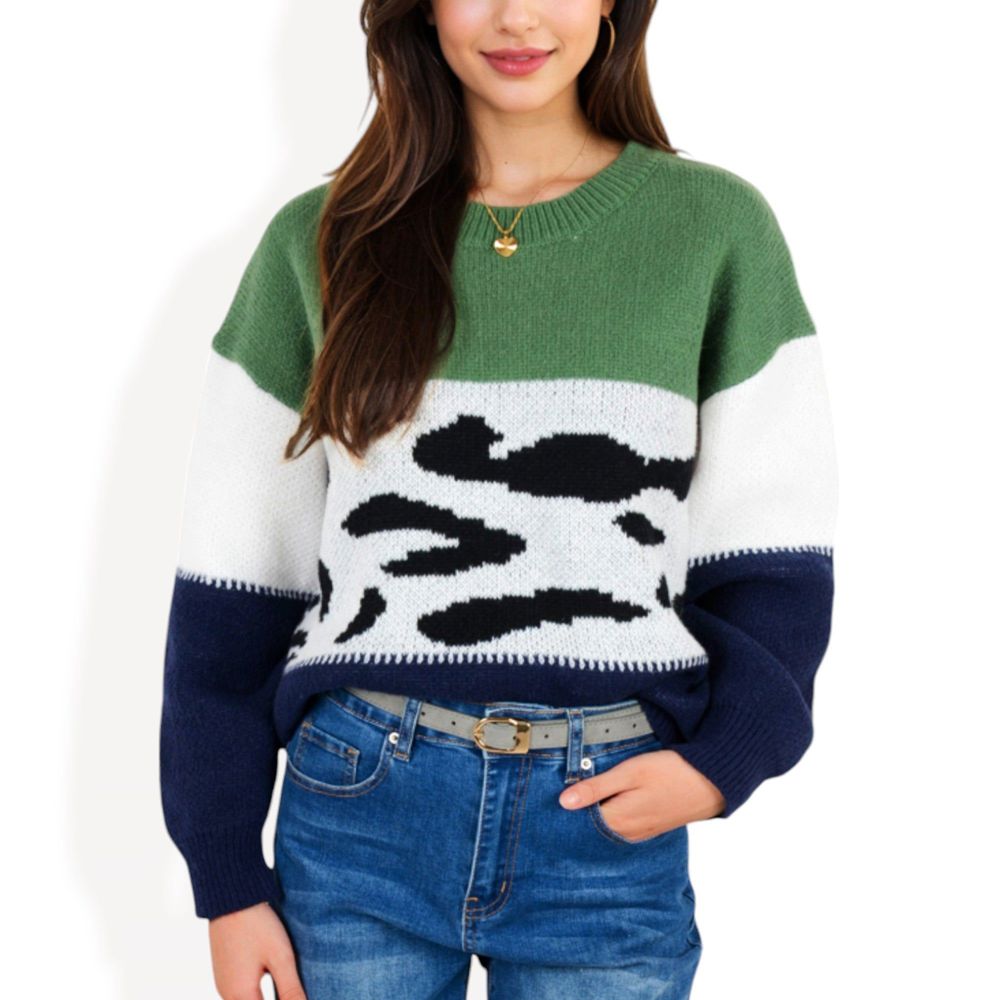 Animal Print Color Block Sweater with Long Sleeves