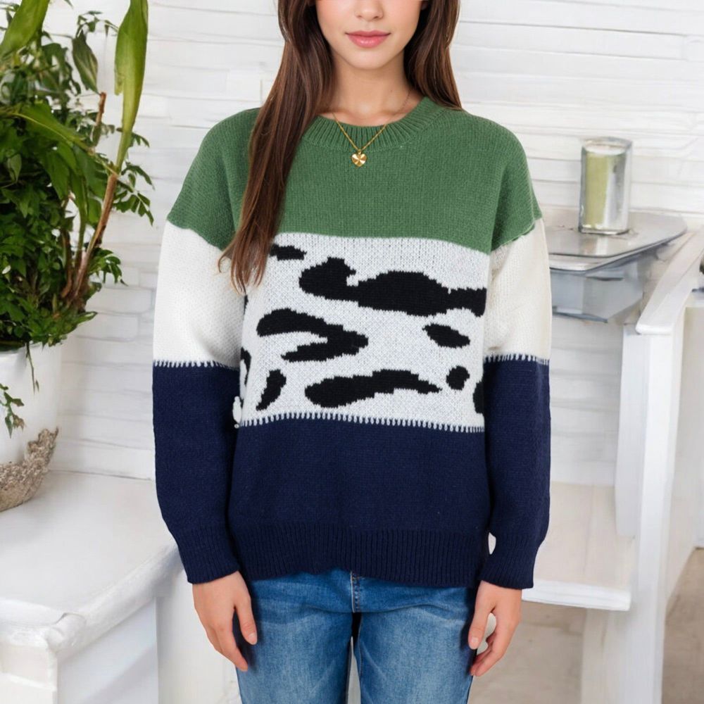 Animal Print Color Block Sweater with Long Sleeves