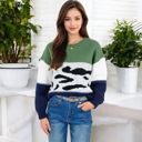 Green Large Animal Print Color Block Sweater with Long Sleeves