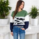 Green Large Animal Print Color Block Sweater with Long Sleeves