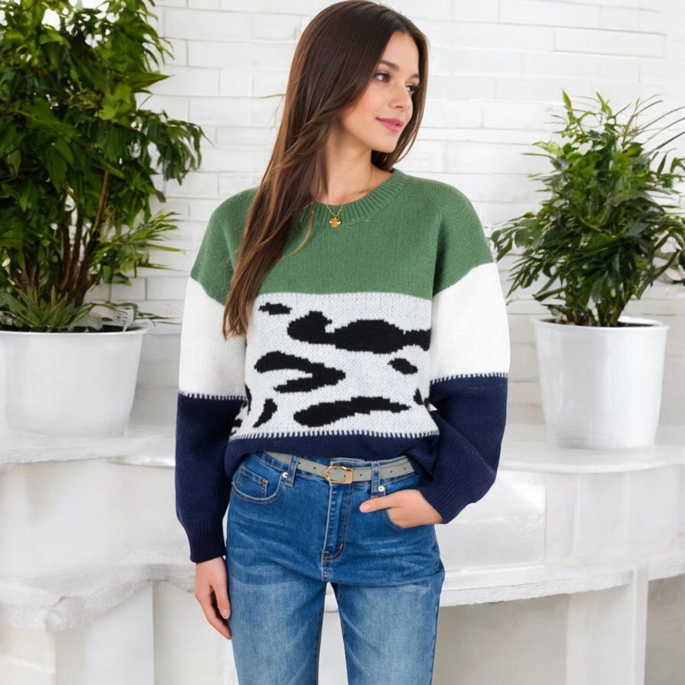 Animal Print Color Block Sweater with Long Sleeves