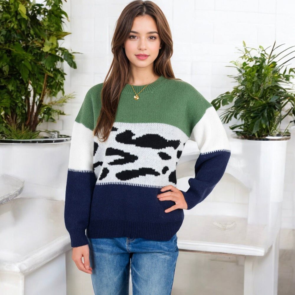 Animal Print Color Block Sweater with Long Sleeves