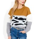 Beige Large Animal Print Color Block Sweater with Long Sleeves