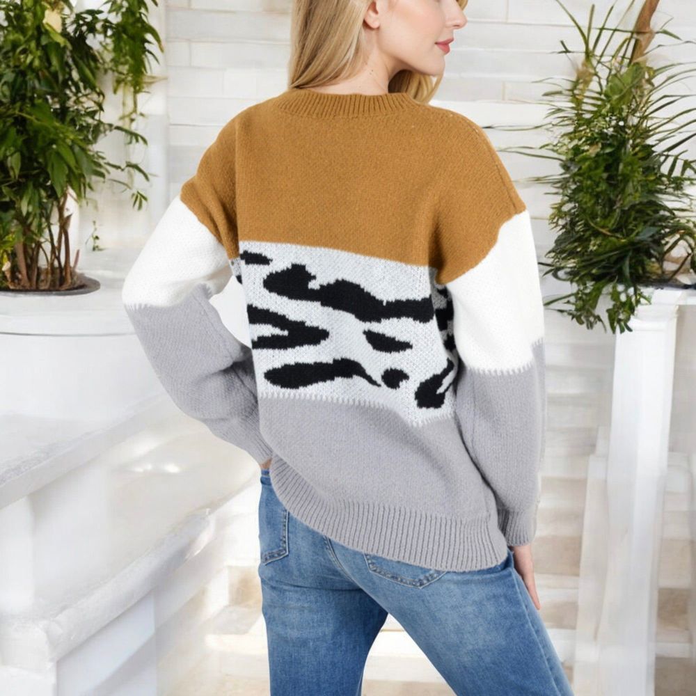 Animal Print Color Block Sweater with Long Sleeves