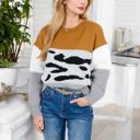 Beige Large Animal Print Color Block Sweater with Long Sleeves