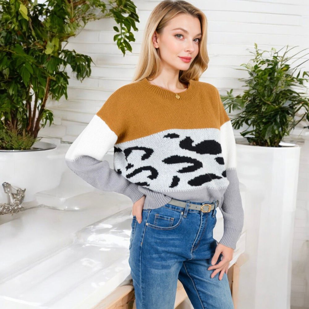 Animal Print Color Block Sweater with Long Sleeves