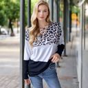 Black Large Color Block Leopard Print Long Sleeve V-Neck Pullover