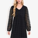 Black Large Clip Dot Light Shift Dress