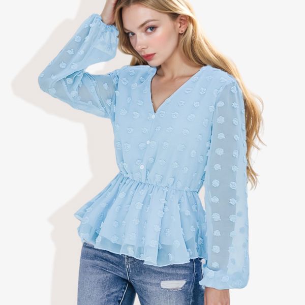 V-Neck Solid Color Semi Sheer Swiss Dot Blouse