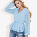  V-Neck Solid Color Semi Sheer Swiss Dot Blouse