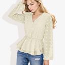 Beige Large V-Neck Solid Color Semi Sheer Swiss Dot Blouse