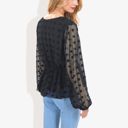 Black Medium V-Neck Solid Color Semi Sheer Swiss Dot Blouse