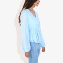 Blue Large V-Neck Solid Color Semi Sheer Swiss Dot Blouse