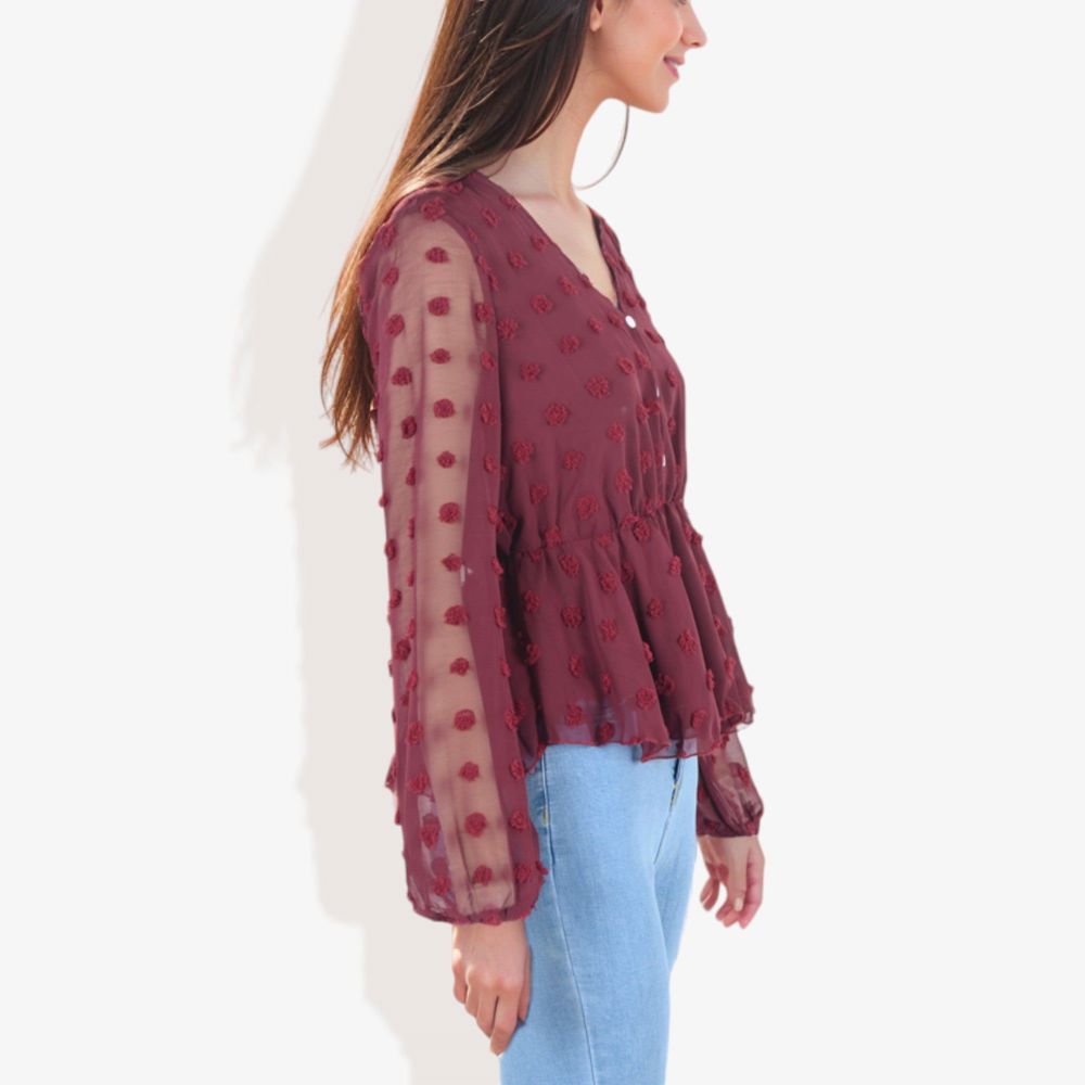 V-Neck Solid Color Semi Sheer Swiss Dot Blouse