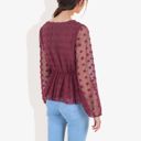 Pink Medium V-Neck Solid Color Semi Sheer Swiss Dot Blouse