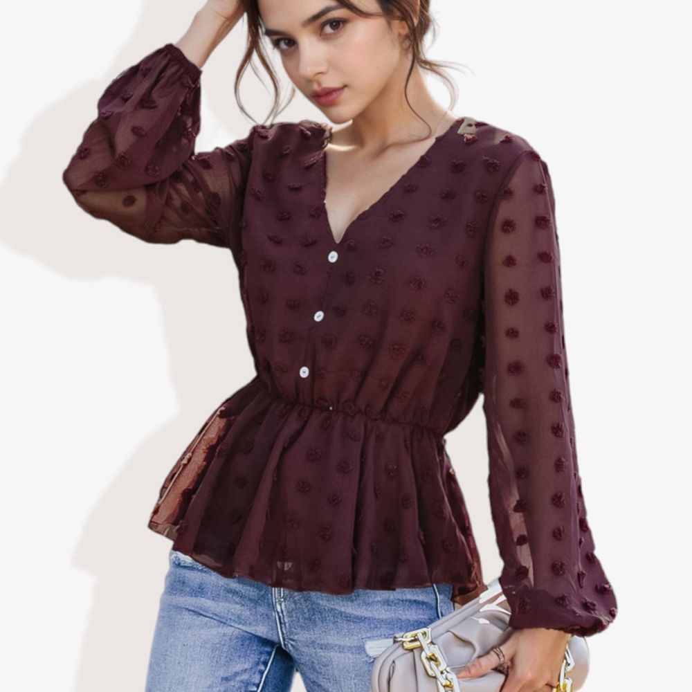 V-Neck Solid Color Semi Sheer Swiss Dot Blouse