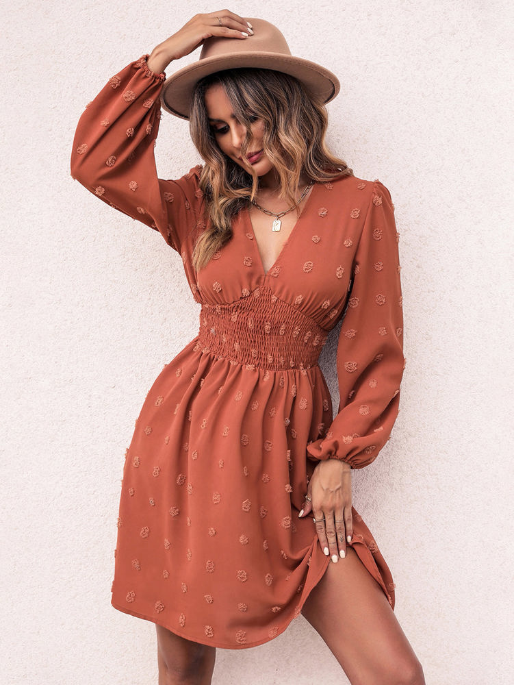 Long Sleeve Dress with Smocked Waist and Textured Dot Pattern