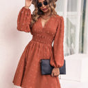 Brown Large Long Sleeve Dress with Smocked Waist and Textured Dot Pattern