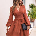 Brown Medium Long Sleeve Dress with Smocked Waist and Textured Dot Pattern