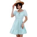 Blue Small Tie Neck Gingham Print Dress