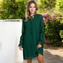 Black Large A-Line Chiffon Dress with Sheer Sleeves and Tie Neck Detail