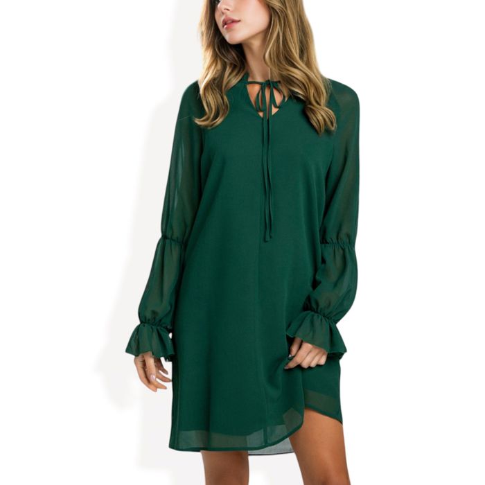 A-Line Chiffon Dress with Sheer Sleeves and Tie Neck Detail