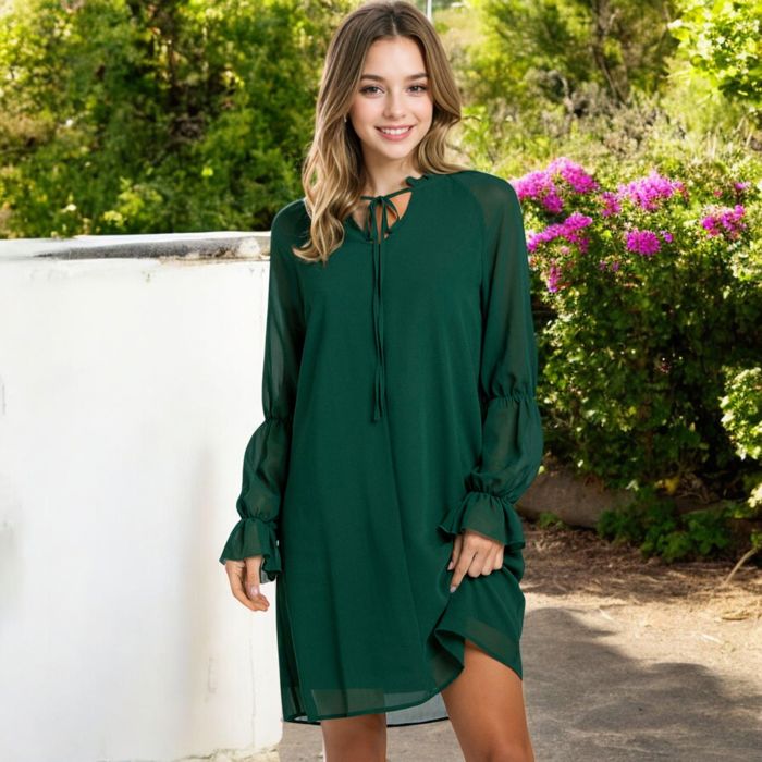 A-Line Chiffon Dress with Sheer Sleeves and Tie Neck Detail