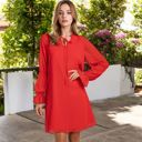 Red Large A-Line Chiffon Dress with Sheer Sleeves and Tie Neck Detail