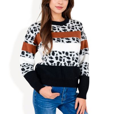 Animal Print Color Block Sweater with Long Sleeves