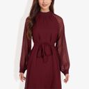  Long Sleeve High Neck Dress with Polka Dot Sheer Sleeves and Waist Tie Detail for Elegant Casual Wear