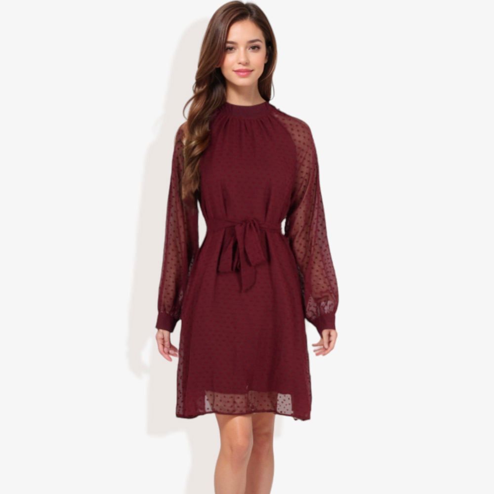 Long Sleeve High Neck Dress with Polka Dot Sheer Sleeves and Waist Tie Detail for Elegant Casual Wear