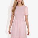 Pink Large Short Sleeve Smocked Dress with Swiss Dot Pattern and Ruffle Hem Detail Casual Summer Dress