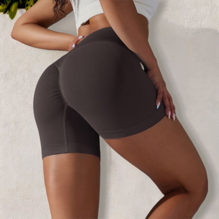 Women's High Waist Seamless Ribbed Biker Shorts