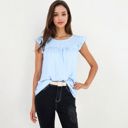 Blue Large Sleeveless Swiss Dot Ruffle Blouse With Pintuck Detail