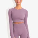 Purple Small Women's Long Sleeved Seamless Fitness Yoga Top