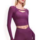 Purple Large Women's Long Sleeve Mesh Cropped Activewear Top with Cutout Detail and Sheer Sleeves