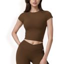 Brown Large Women's Short Sleeve Cropped Activewear Top with Fitted Silhouette