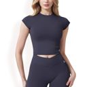 Blue Large Women's Short Sleeve Cropped Activewear Top with Fitted Silhouette