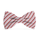  Dog Bow Tie - Candy Cane Stripes