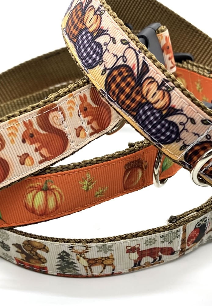 Dog Collars - Fall Themed