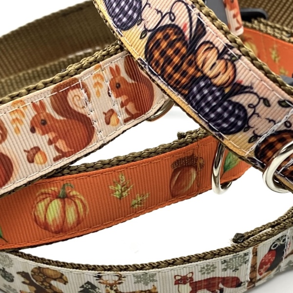 Dog Collars - Fall Themed