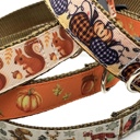  Dog Collars - Fall Themed