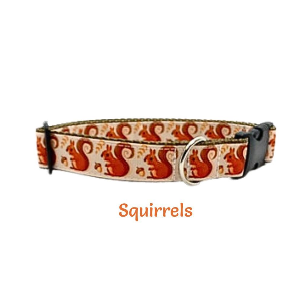 Dog Collars - Fall Themed