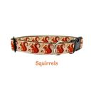  Dog Collars - Fall Themed