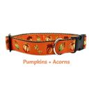  Dog Collars - Fall Themed