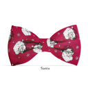  Dog Bow Ties - 18 Options