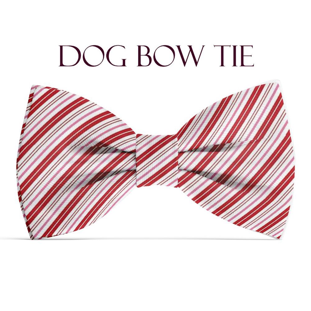 Dog Bow Tie - Candy Cane Stripes